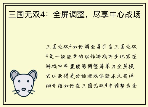 三国无双4：全屏调整，尽享中心战场